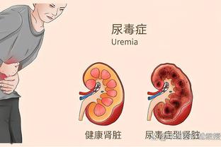 半岛电子客户端下载截图4